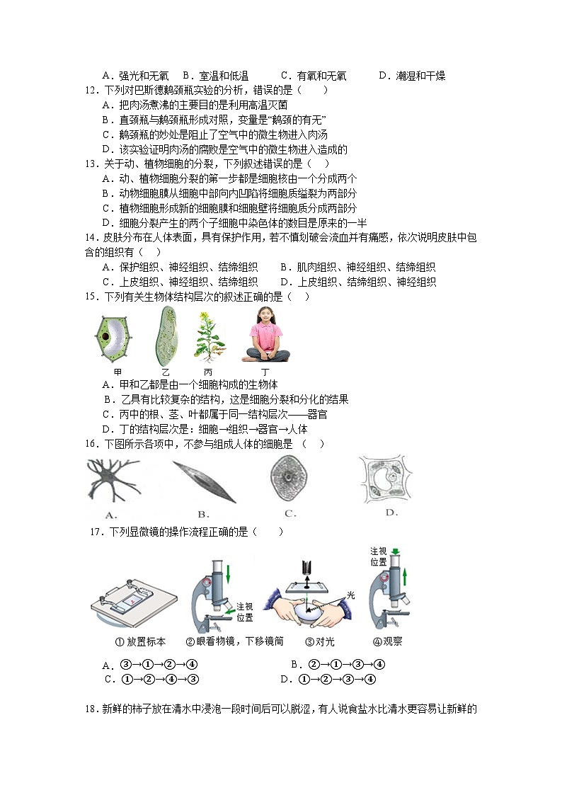 生物初27届内江六中期中测试题2024.10.31第2页