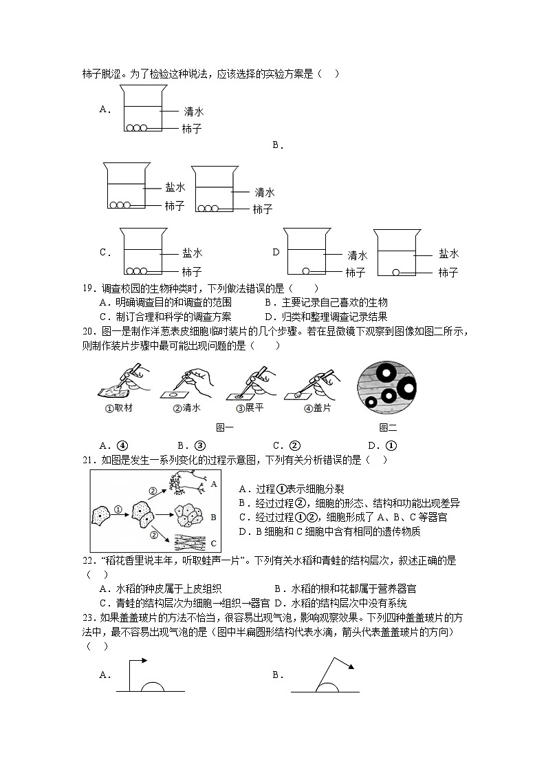 生物初27届内江六中期中测试题2024.10.31第3页