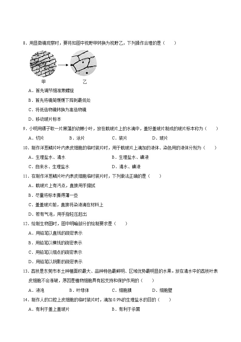 广东省三江镇初级中学2024-2025学年七年级上学期期中考试生物试题第2页
