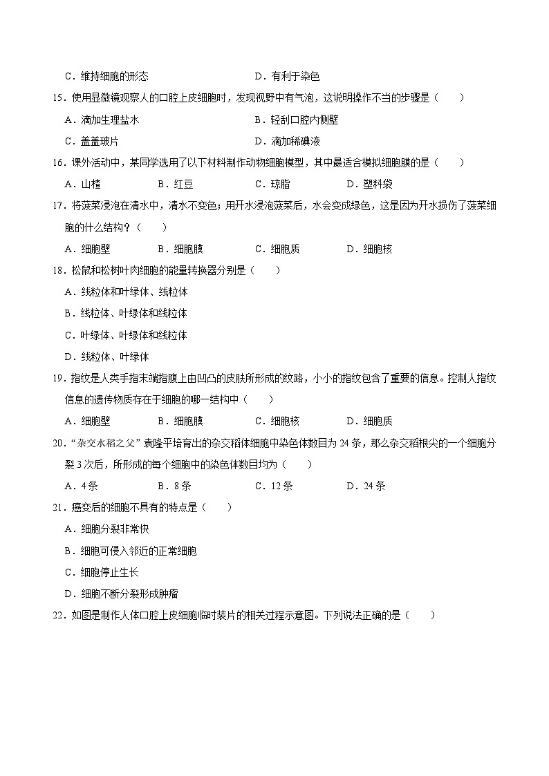 广东省三江镇初级中学2024-2025学年七年级上学期期中考试生物试题第3页
