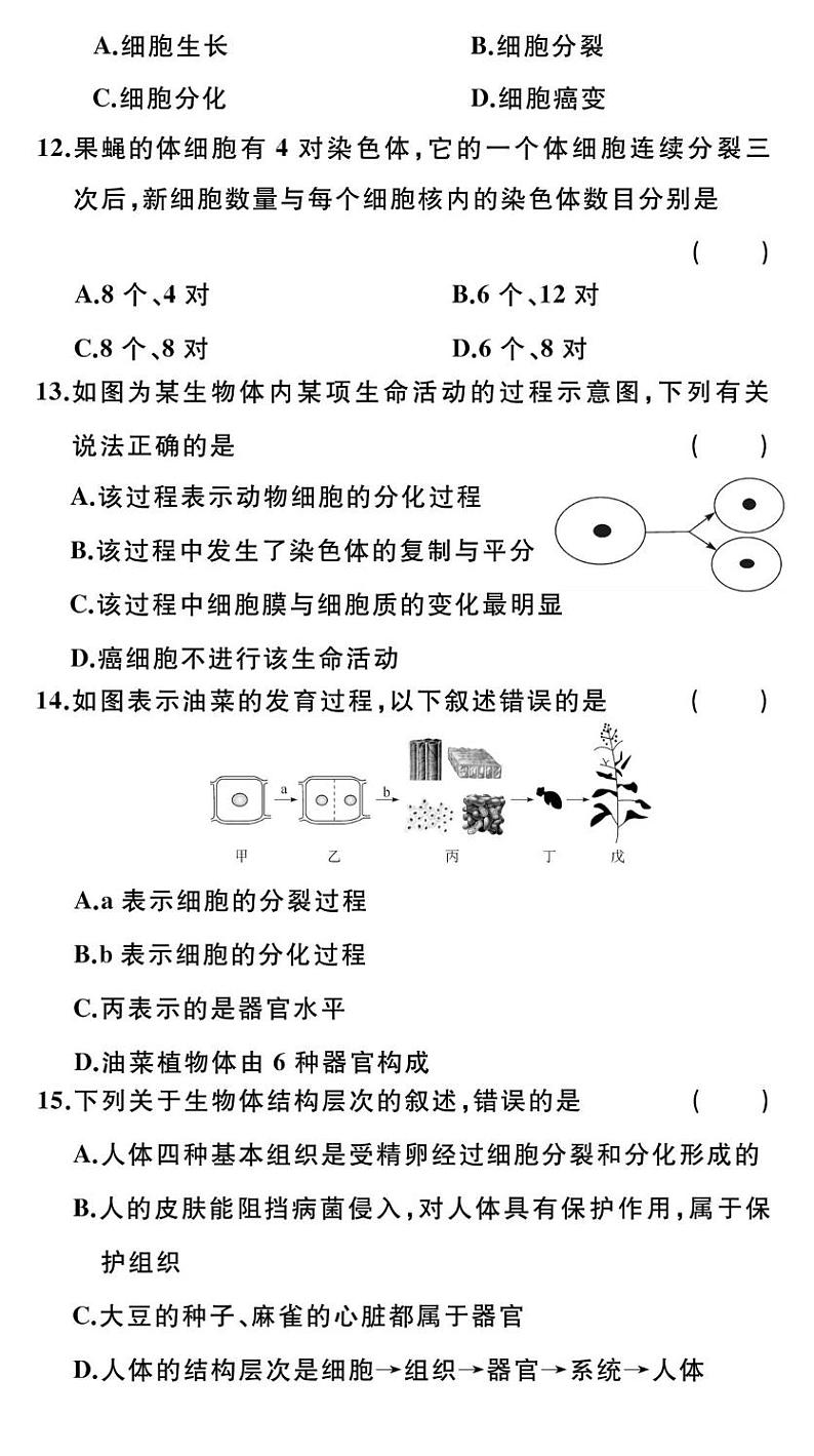 贵州省黔东南州从江县翠里中学2024-2025学年度七年级上学期期中质量监测生物学试卷第3页
