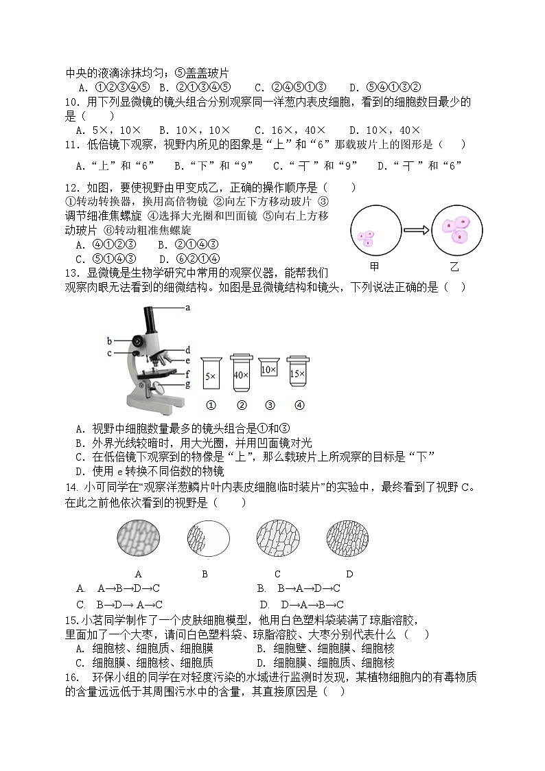 福建省厦门市湖滨中学2024-2025学年七年级上学期期中考试生物试题02