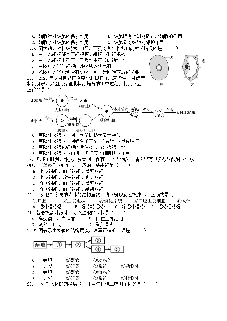 福建省厦门市湖滨中学2024-2025学年七年级上学期期中考试生物试题03