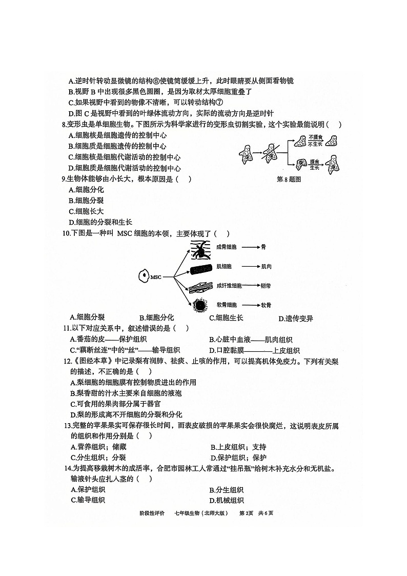 安徽省淮北市第一中学2024-2025学年七年级上学期11月期中考试生物试题第2页
