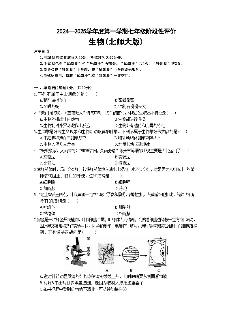 安徽省淮北市第一中学2024-2025学年七年级上学期11月期中考试生物试题（文字版）第1页