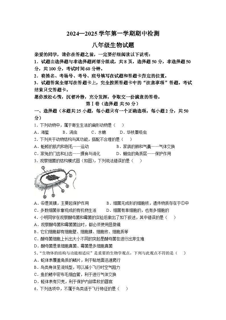 山东省聊城市莘县四校联考2024-2025学年八年级上学期11月期中生物试题第1页