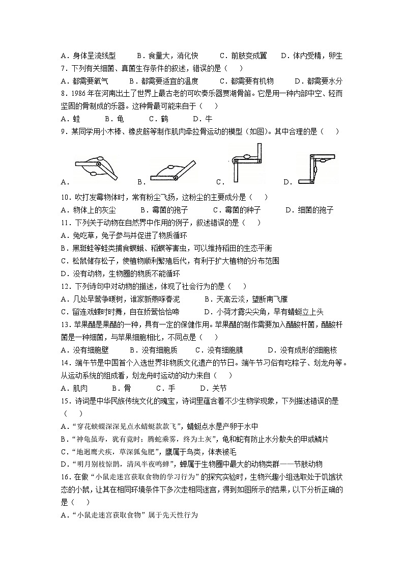 山东省聊城市莘县四校联考2024-2025学年八年级上学期11月期中生物试题第2页