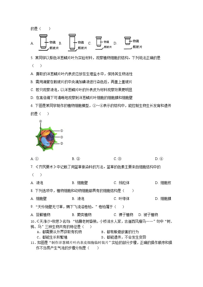 山东省聊城市莘县四校联考2024-2025学年七年级上学期11月期中生物试题02