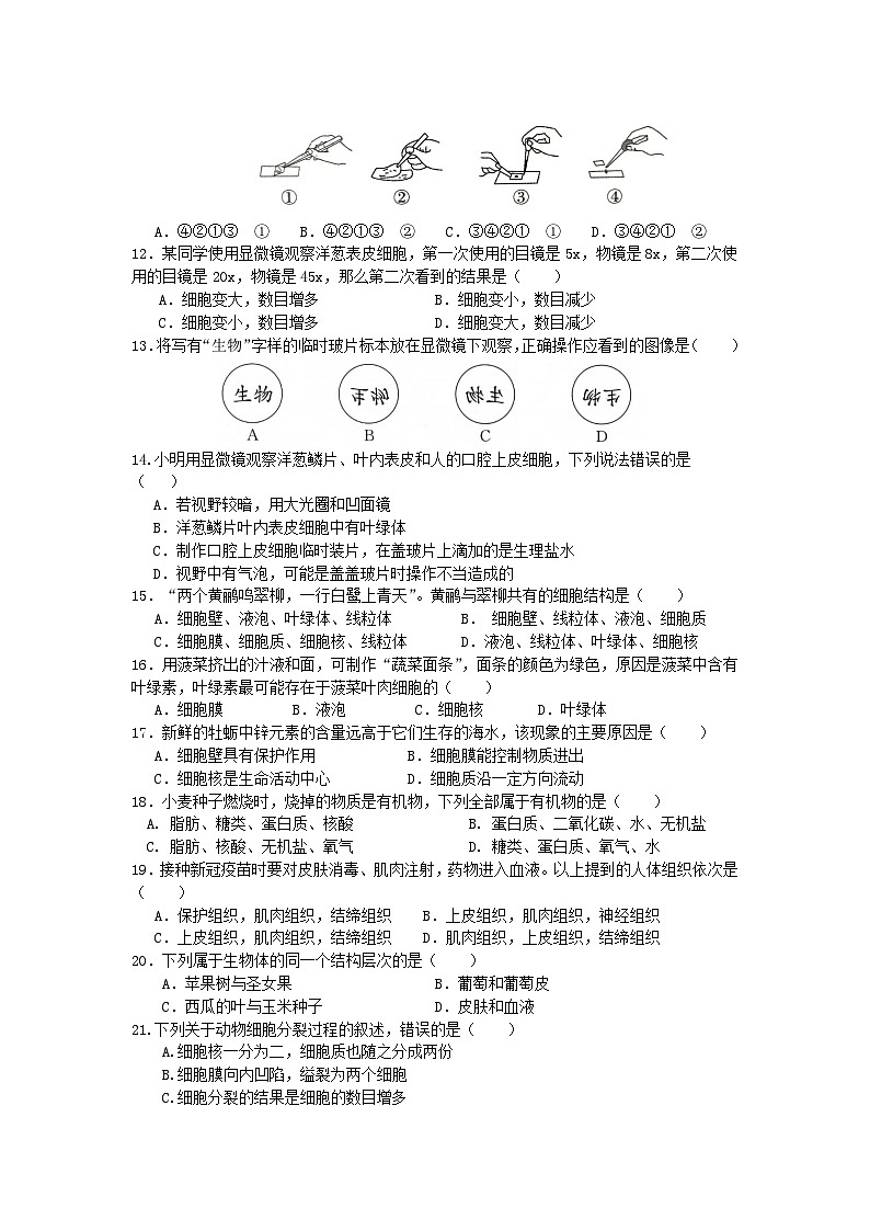 山东省聊城市莘县四校联考2024-2025学年七年级上学期11月期中生物试题03