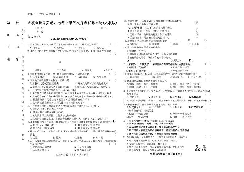 吉林省松原市前郭尔罗斯蒙古族自治县名校联考2024-2025学年七年级上学期11月月考生物试题01