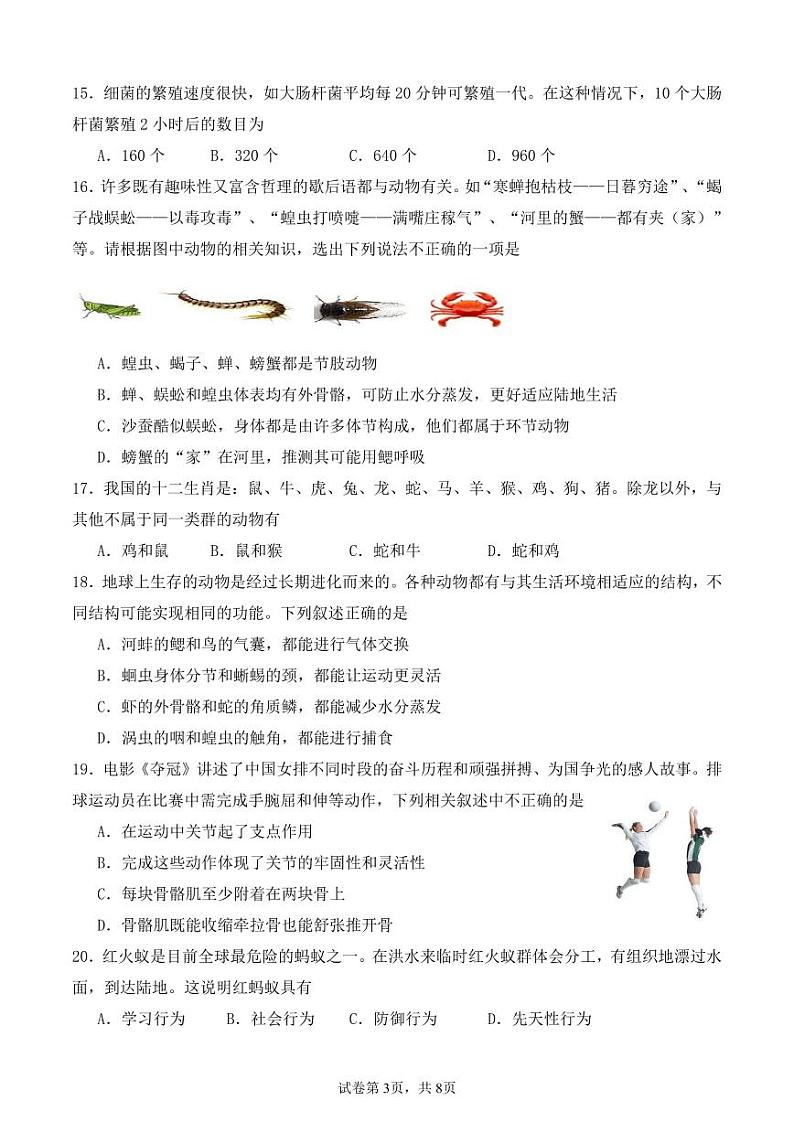 海南省文昌中学2024-2025学年八年级上学期期中考试生物试题第3页