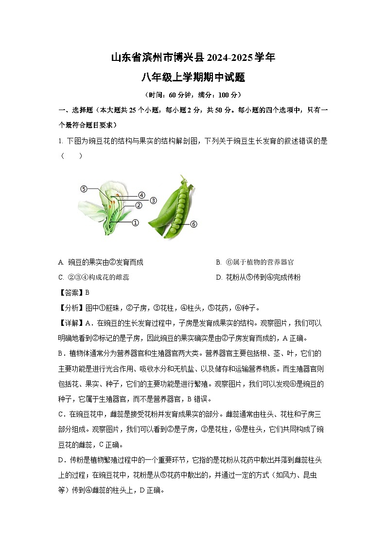 2024-2025学年山东省滨州市博兴县八年级(上)期中生物试卷（解析版）第1页