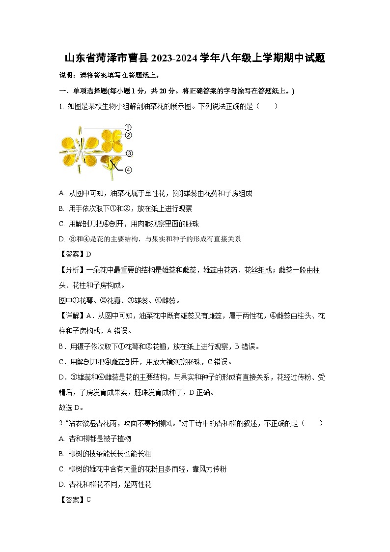 2023-2024学年山东省菏泽市曹县八年级(上)期中生物试卷（解析版）01