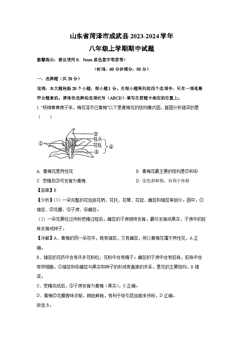 2023-2024学年山东省菏泽市成武县八年级(上)期中生物试卷（解析版）第1页
