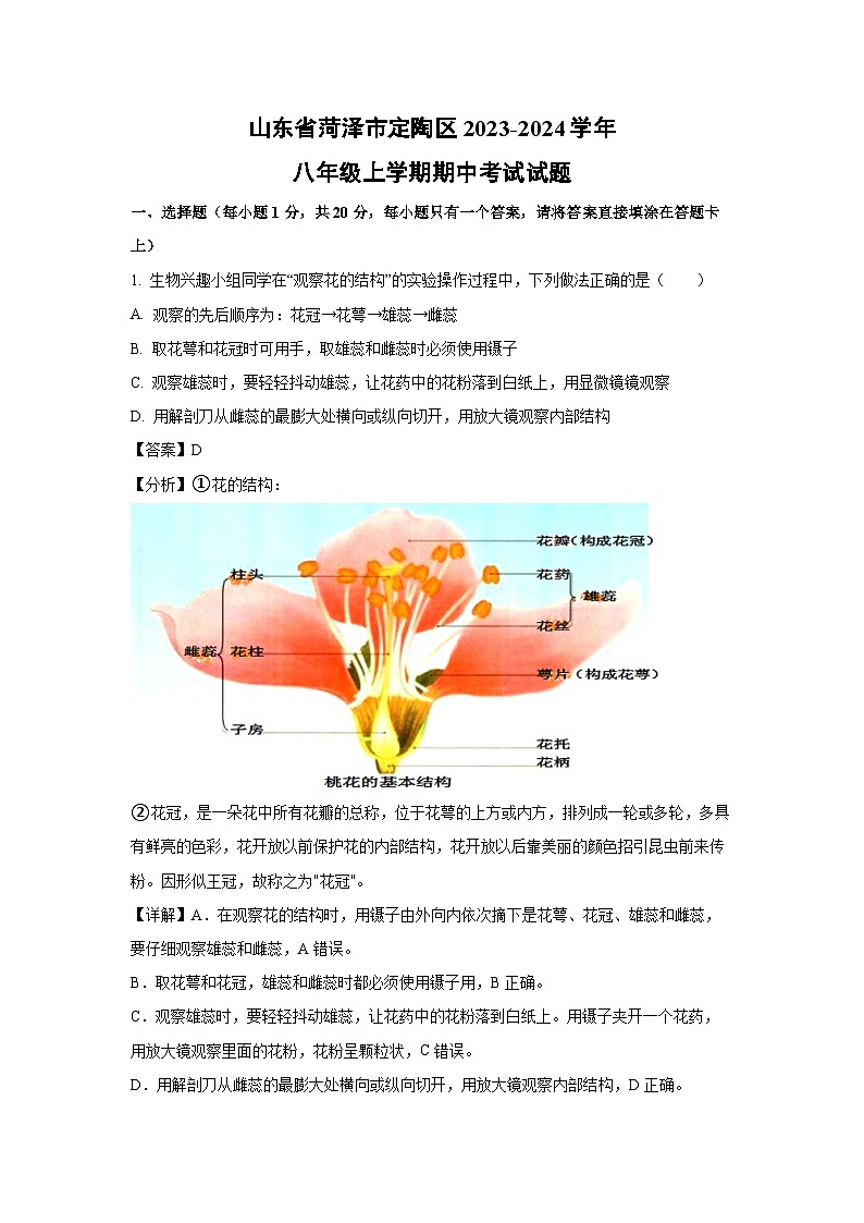 2023-2024学年山东省菏泽市定陶区八年级(上)期中考试生物试卷（解析版）第1页
