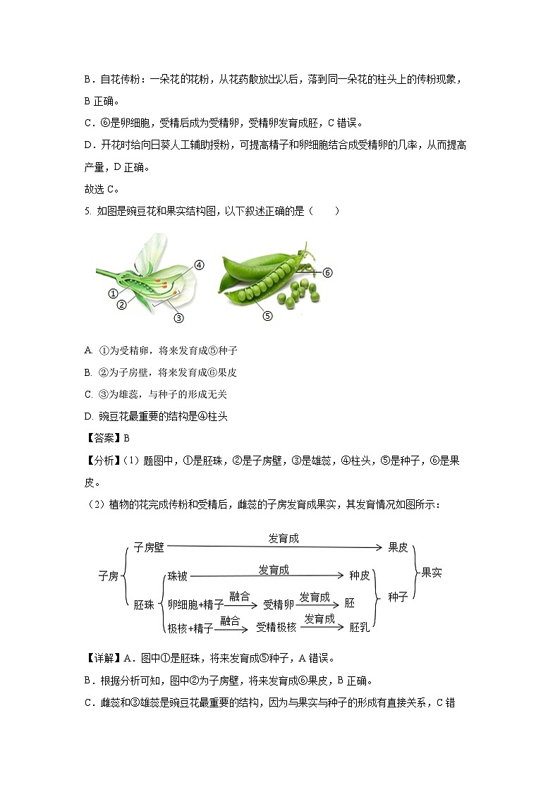 2024-2025学年山东省菏泽市定陶区八年级(上)期中生物试卷（解析版）第3页