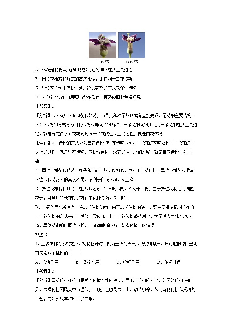 2024-2025学年山东省八上期中测（济南版）生物试卷（解析版）第3页