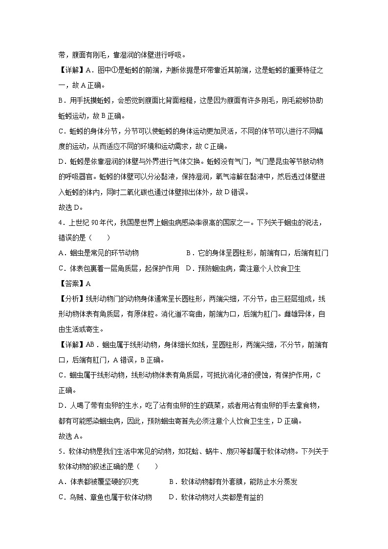 2024-2025学年山东省八年级(上)期中模拟卷（二）（鲁科版五四学制）生物试卷（解析版）第3页