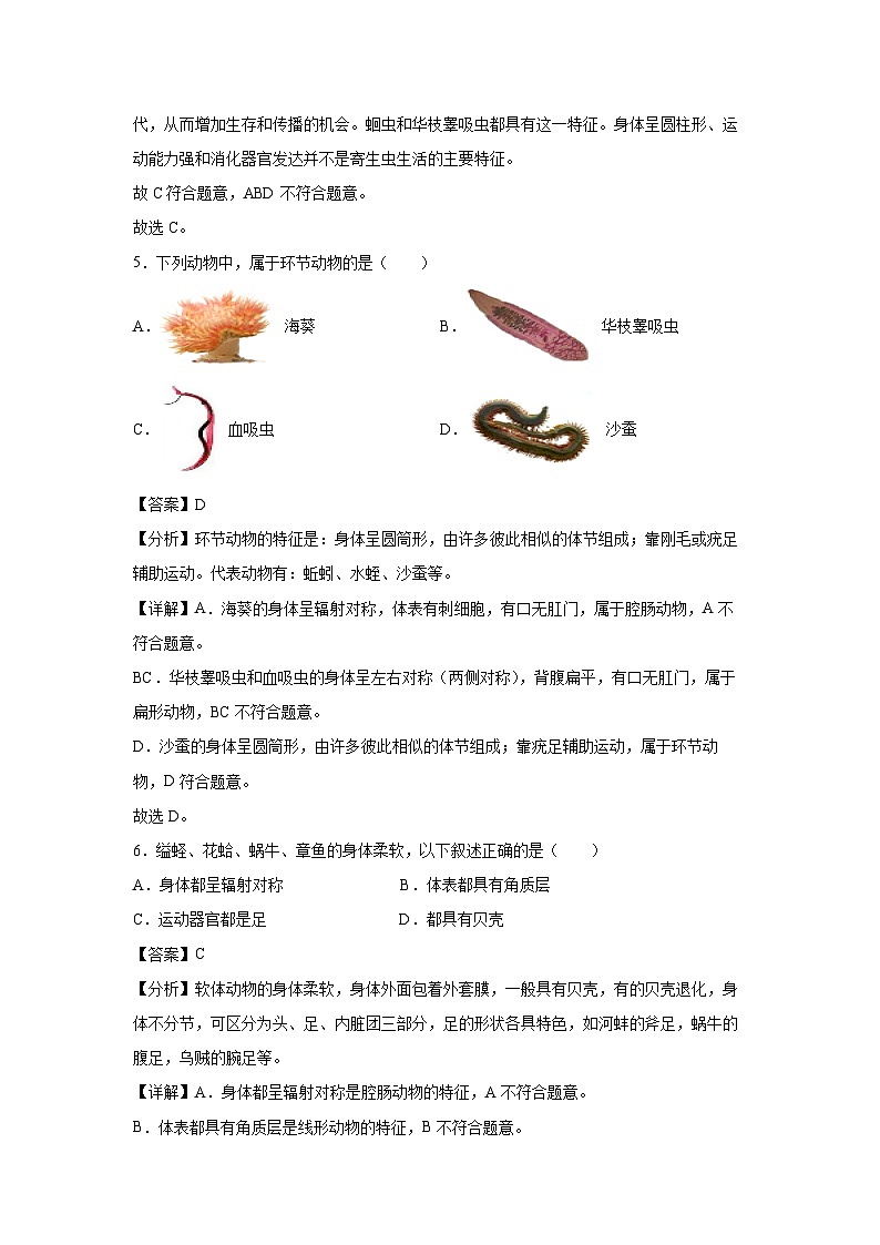 2024-2025学年山东省八年级(上)期中模拟卷（一）（鲁科版五四学制）生物试卷（解析版）第3页