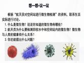 2.3.1 微生物的分布-初中生物七年级上册 同步教学课件+教学设计（人教版2024）
