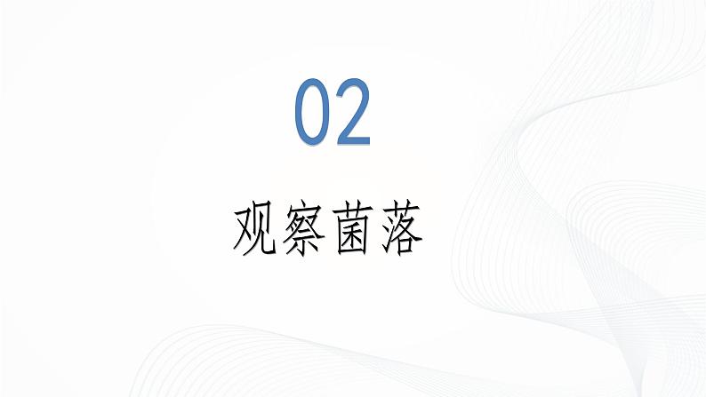 2.3.1 微生物的分布-初中生物七年级上册 同步教学课件（人教版2024）第8页