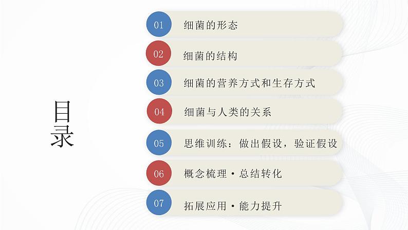 2.3.2 细菌-初中生物七年级上册 同步教学课件（人教版2024）第2页