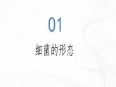 2.3.2 细菌-初中生物七年级上册 同步教学课件+教学设计（人教版2024）