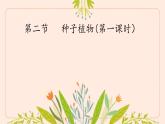 初中  生物  人教版（2024）  七年级上册  第二单元  第一章 植物的类群  第二节 种子植物 课件