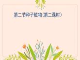 初中  生物  人教版（2024）  七年级上册  第二单元  第一章 植物的类群  第二节 种子植物 课件