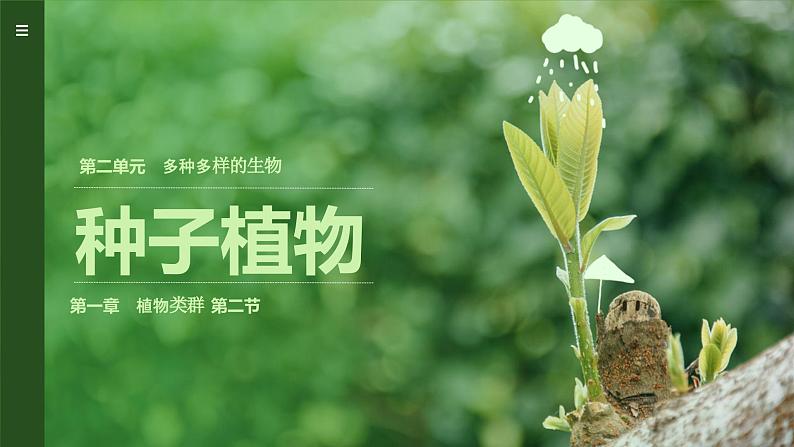 初中  生物  人教版（2024）  七年级上册  第二单元  第一章 植物的类群  第二节 种子植物 课件01