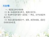 初中  生物  人教版（2024）  七年级上册  第二单元  第一章 植物的类群  第二节 种子植物 课件