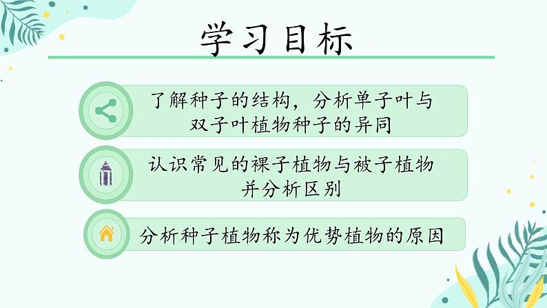 初中  生物  人教版（2024）  七年级上册  第二单元  第一章 植物的类群  第二节 种子植物 课件03