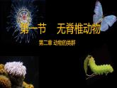 初中  生物  人教版（2024）  七年级上册  第二单元  第二章 动物的类群 第一节 无脊椎动物 课件