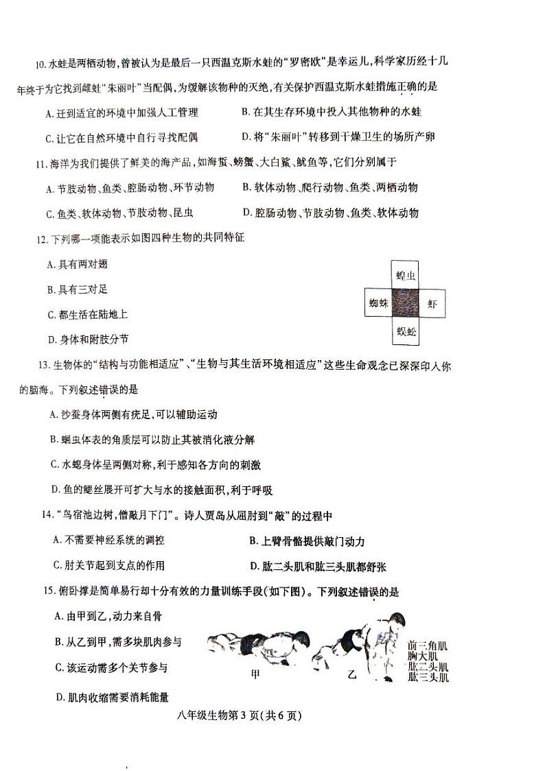 八年级期中生物试卷第3页