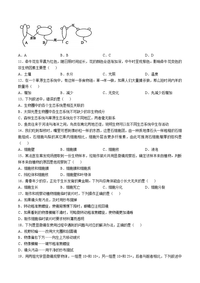 湖南省怀化市新晃侗族自治县2023-2024学年七年级上学期期中生物学试题第2页
