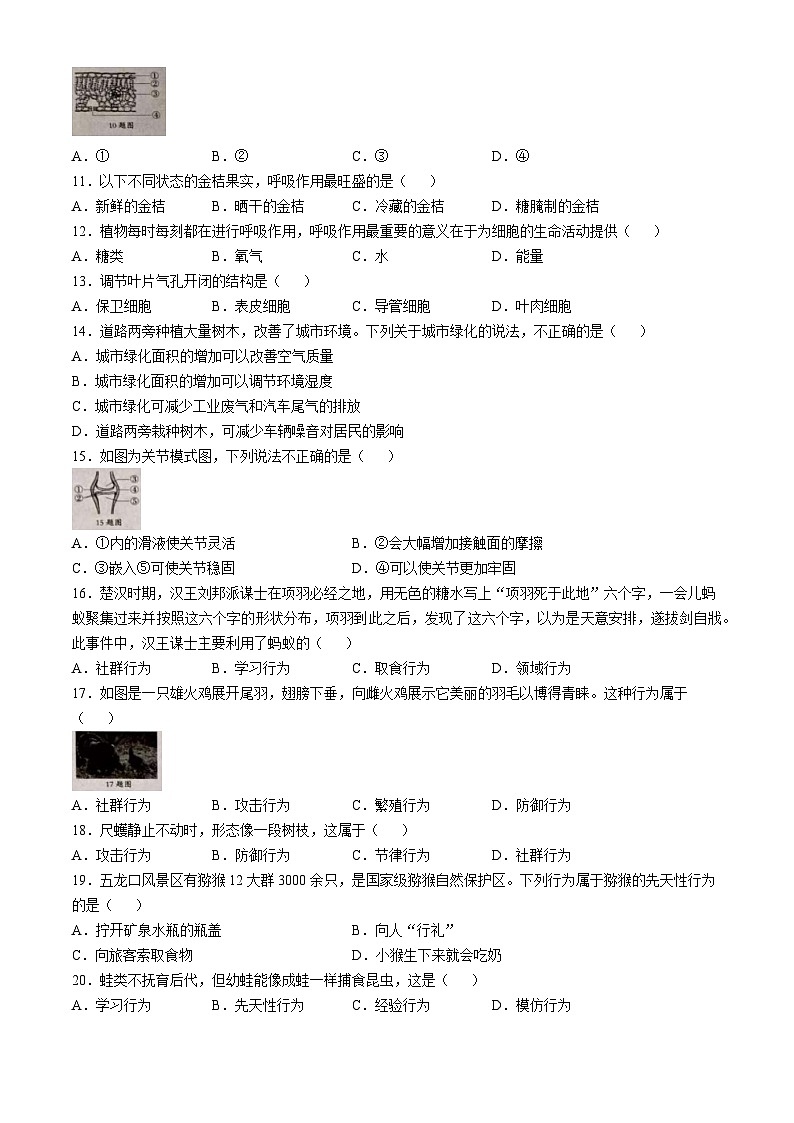 河北省张家口市张北县2023-2024学年八年级上学期期中生物学试题第2页