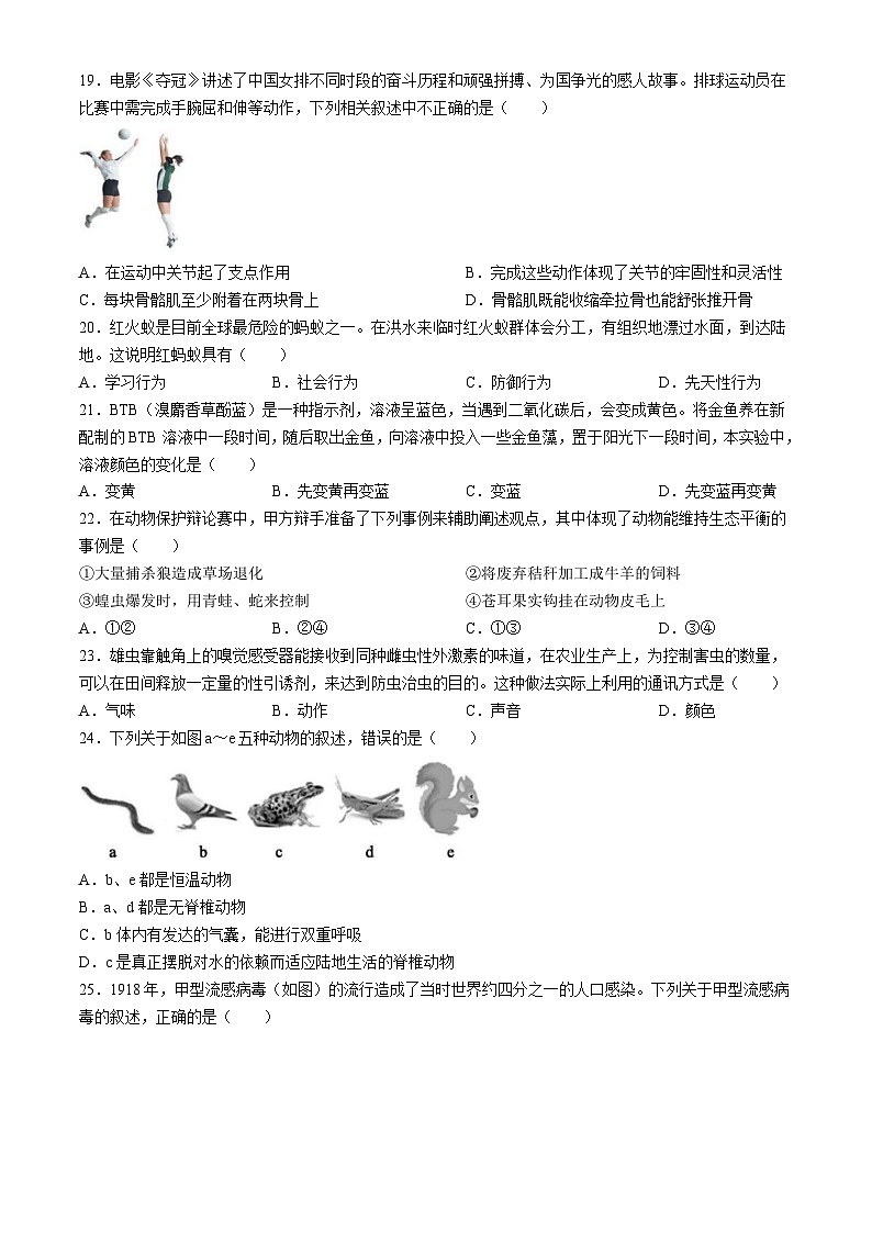 海南省文昌中学2024-2025学年八年级上学期期中生物学试题第3页