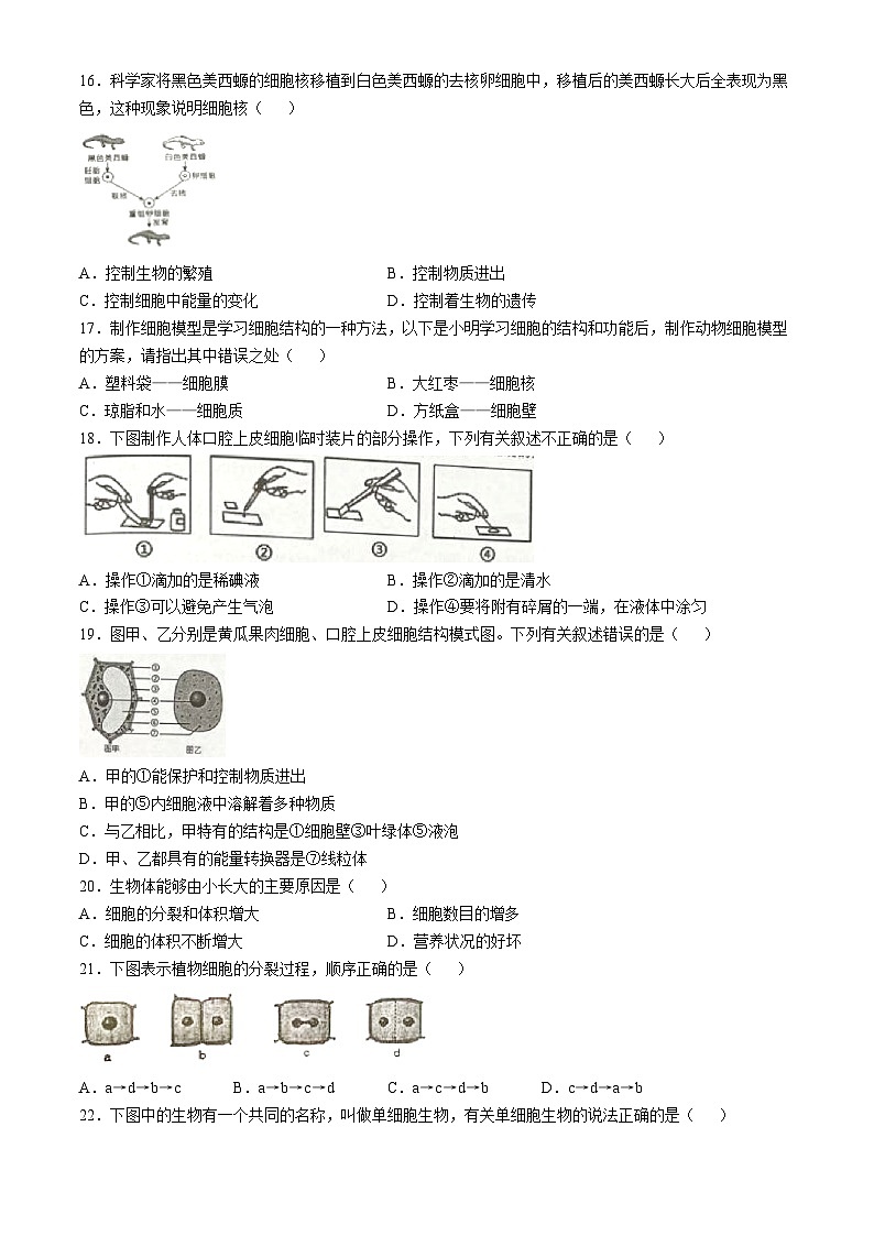 湖南省永州市新田县2023-2024学年七年级上学期期中生物学试题第3页