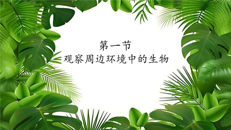 初中  生物  人教版（2024）  七年级上册  第一单元   第一章第一节 观察周边环境中的生物 课件第6页