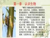 初中  生物  人教版（2024）  七年级上册  第一单元   第一章第一节 观察周边环境中的生物 课件