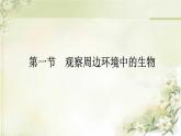 初中  生物  人教版（2024）  七年级上册  第一单元   第一章第一节 观察周边环境中的生物 课件