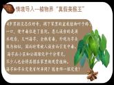 初中  生物  人教版（2024）  七年级上册  第一单元   第一章第一节 观察周边环境中的生物 课件