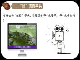 初中  生物  人教版（2024）  七年级上册  第一单元   第一章第一节 观察周边环境中的生物 课件