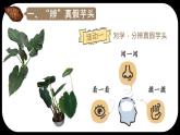初中  生物  人教版（2024）  七年级上册  第一单元   第一章第一节 观察周边环境中的生物 课件
