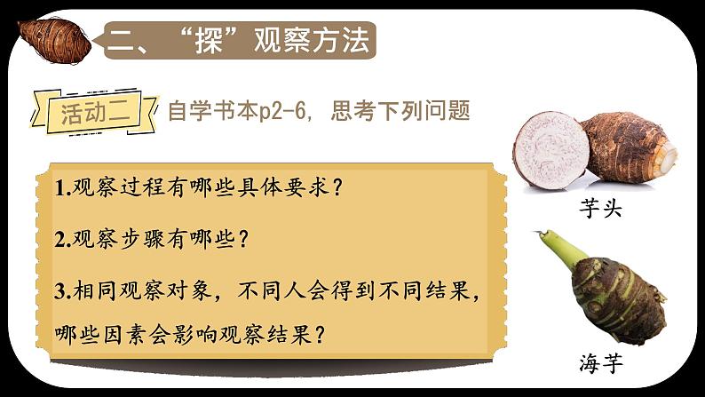 初中  生物  人教版（2024）  七年级上册  第一单元   第一章第一节 观察周边环境中的生物 课件第6页