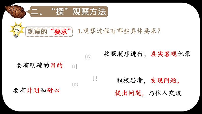 初中  生物  人教版（2024）  七年级上册  第一单元   第一章第一节 观察周边环境中的生物 课件第7页