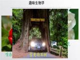 初中  生物  人教版（2024）  七年级上册  第一单元   第一章第一节 观察周边环境中的生物 课件