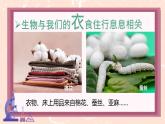 初中  生物  人教版（2024）  七年级上册  第一单元   第一章第一节 观察周边环境中的生物 课件