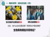 初中  生物  人教版（2024）  七年级上册  第一单元   第一章 第二节 生物的特征 课件