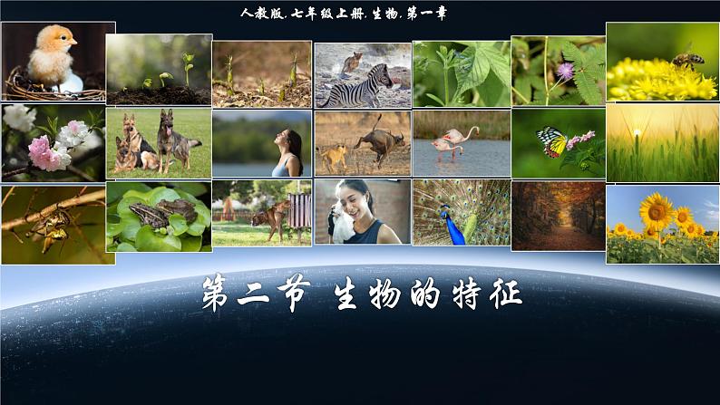 初中  生物  人教版（2024）  七年级上册  第一单元   第一章 第二节 生物的特征 课件01